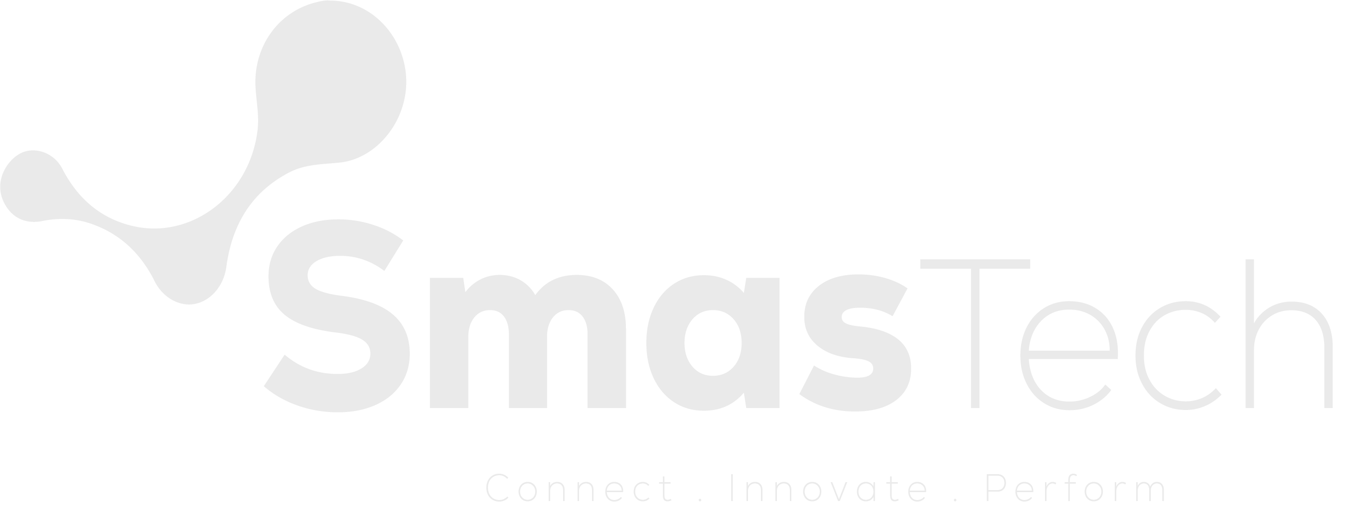 Smas Tech
